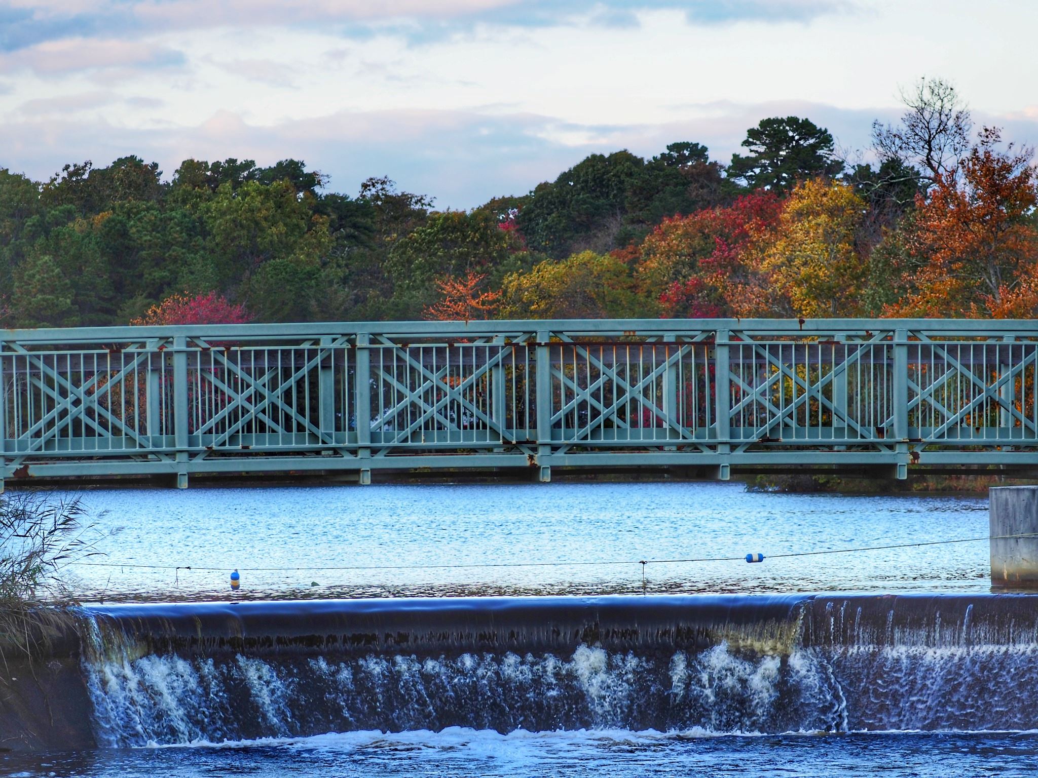 311871616_517549133743777_5252261868859603396_n